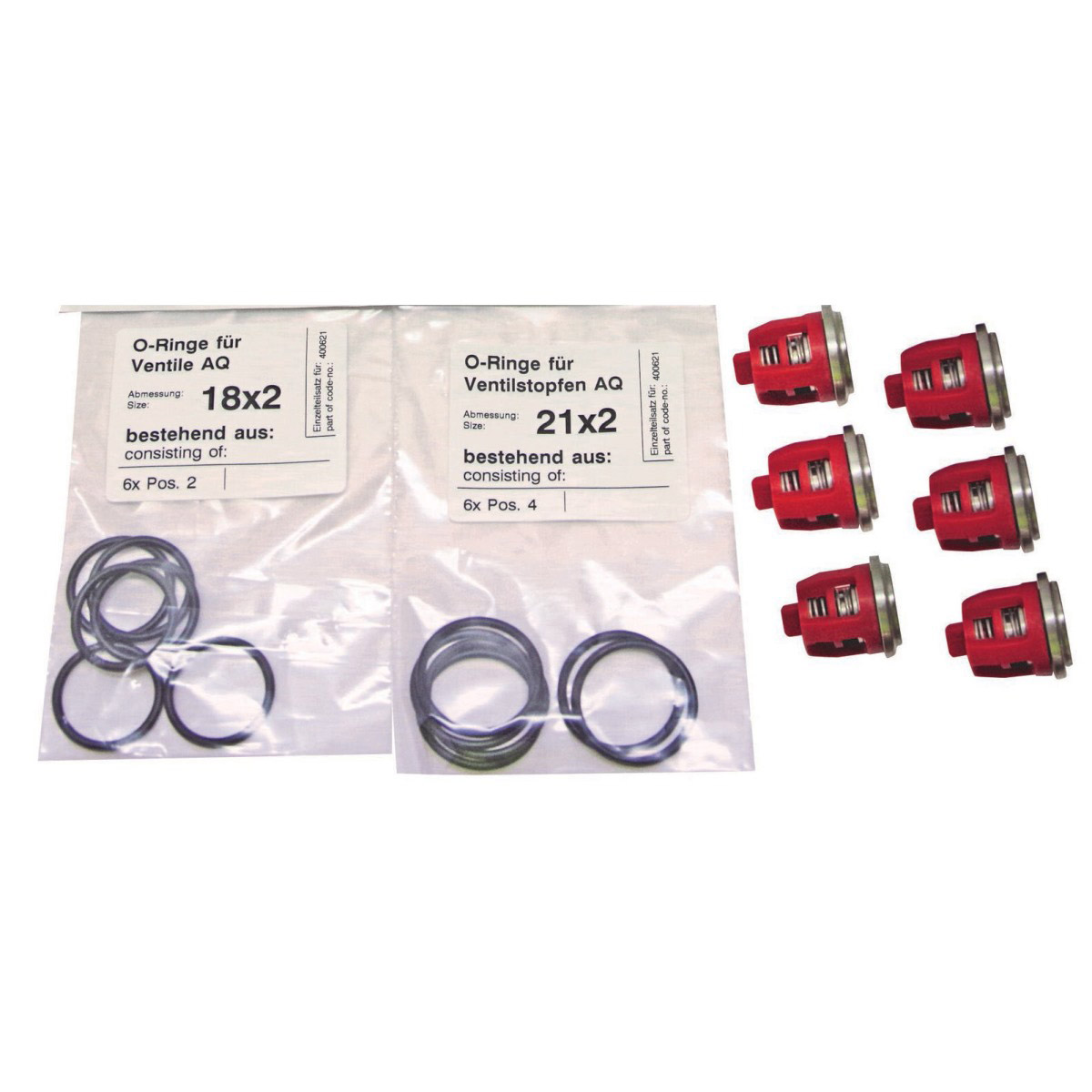 400621 - Repair Kit Valves for AQ Pump