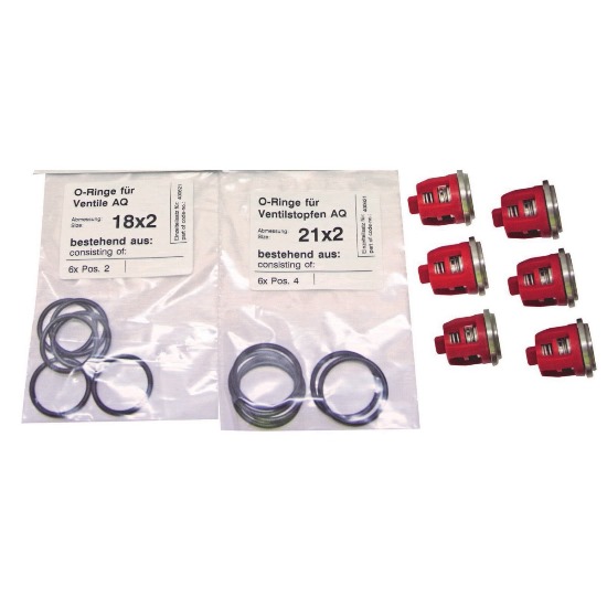 400621 - Repair Kit Valves for AQ Pump