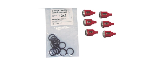 41648 - Repair Kit Valves AZ Pump