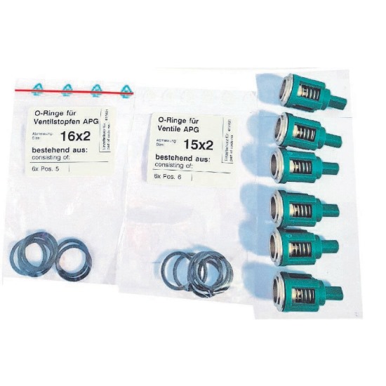 417481 - Repair Kit Valves for APG-AM Pump