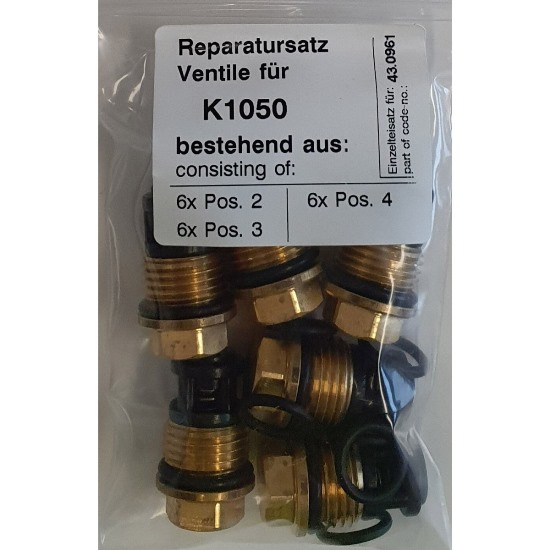 430961  Repair Kit Valves