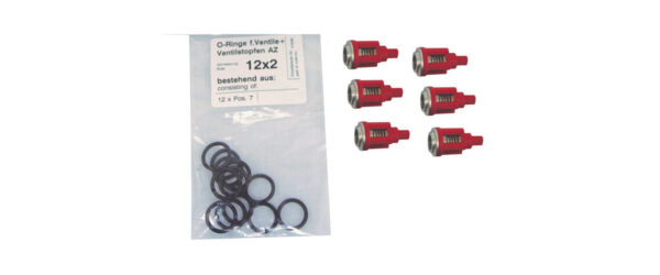41648 - Repair Kit Valves AZ Pump - Image 2