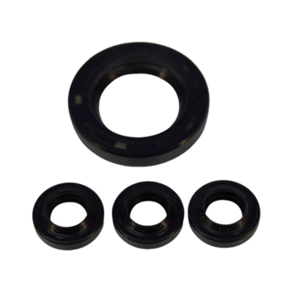 KTRI40081 - Repair Kit Oil Seals